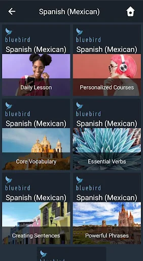 Learn Mexican Spanish. Speak M