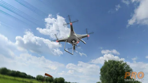 RC Flight Simulator Pro Radio