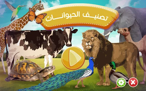 Classification of Animals