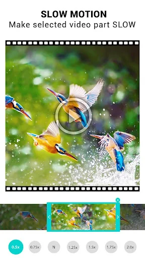 Video Speed Changer: SlowMo screenshot 1