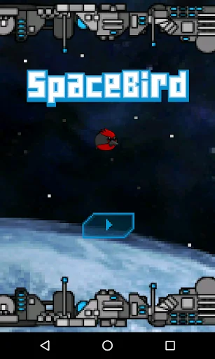 Space Bird