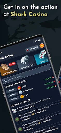 Shark Casino