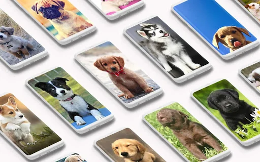 Puppy Wallpaper screenshot 1