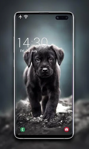 Puppy Wallpaper screenshot 2