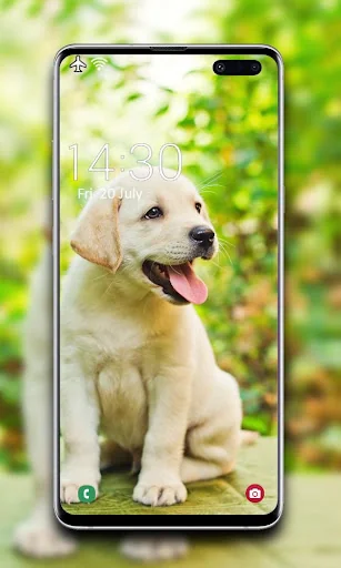 Puppy Wallpaper screenshot 3