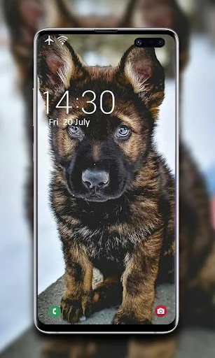 Puppy Wallpaper screenshot 4