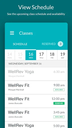 Wellness Revival