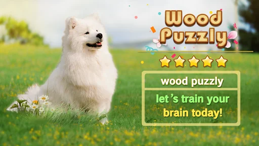 Wood Puzzle -Block Puzzle Game