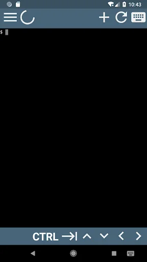 Terminal