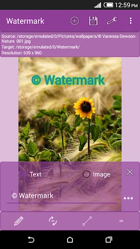 Watermark
