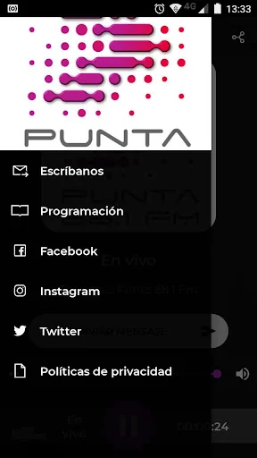 Punta 88.1 Fm