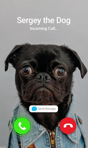 Fake Call Prank- Animals