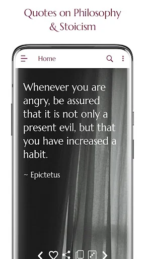 Philosophy Quotes, Daily Stoic
