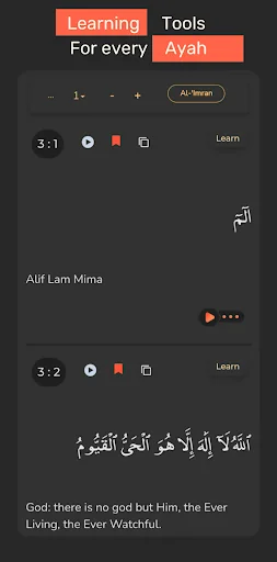 QuranHive screenshot 2