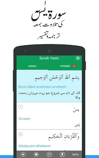 Surah Yasin Urdu Translation