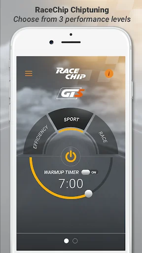 RaceChip