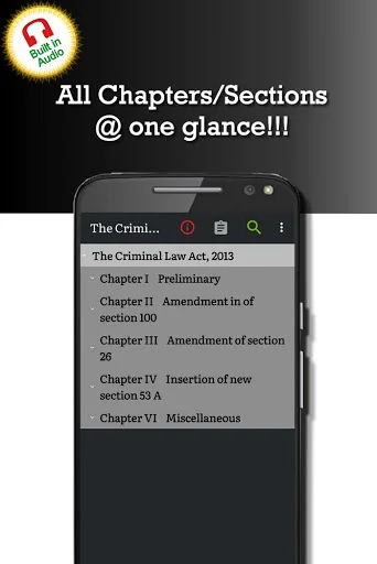 Criminal Law Act 2013