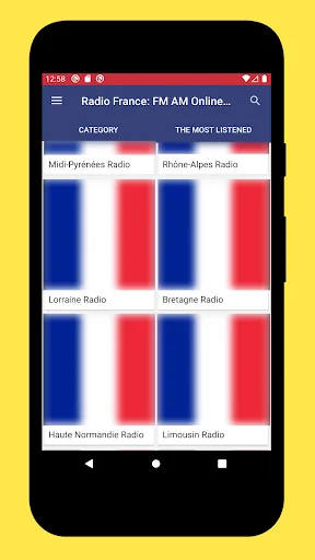 Radios France: Radio France FM
