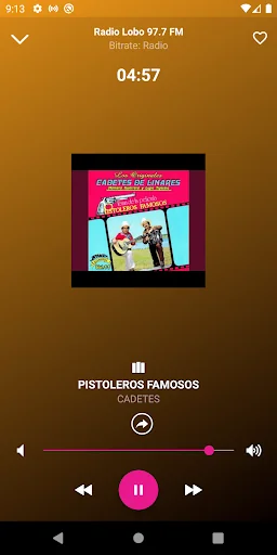 Radio Lobo FM screenshot 4