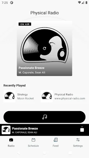 Physical Radio