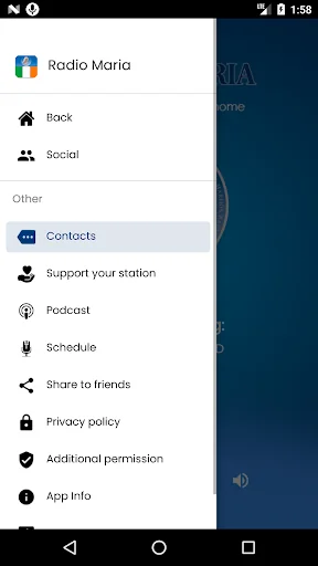 Radio Maria Ireland screenshot 3