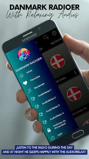 Knr Grønlandsk Danmark radioer