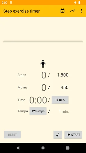 Step exercise timer