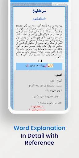 Shah Jo Risalo Multilingual screenshot 4