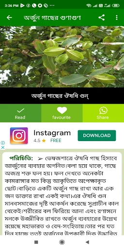 ঔষধি গাছের উপকারিতা- Hurbal