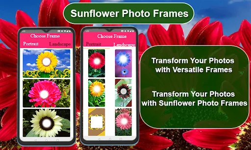 Sunflower Photo Frames Editor