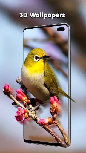 Transparent Live Wallpaper screenshot 4