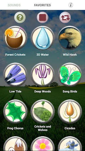 Nature Sounds Ringtones screenshot 2
