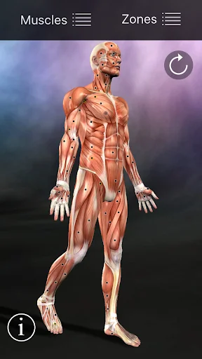 Muscle Trigger Point Anatomy screenshot 1