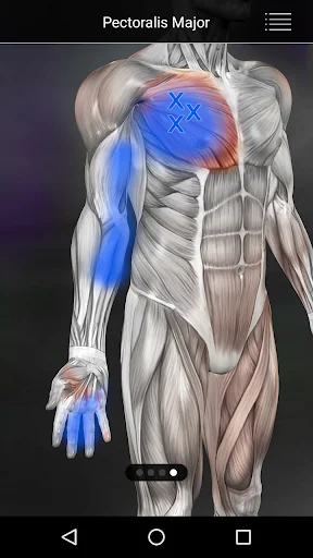 Muscle Trigger Point Anatomy screenshot 2
