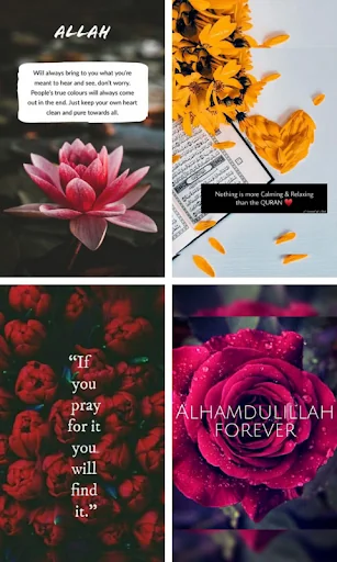 Islamic Quotes And DP