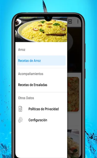 Recetas de Arroz