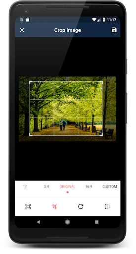Crop Image - Resize image