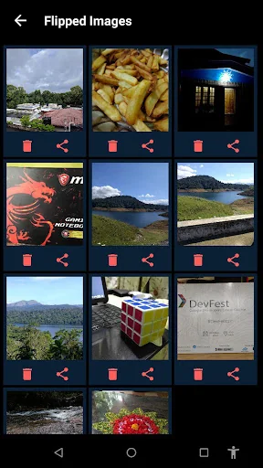 Flip Image - Mirror Image screenshot 3