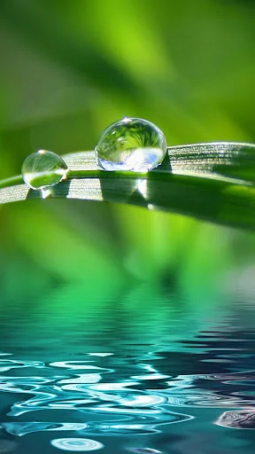 Nature wallpapers