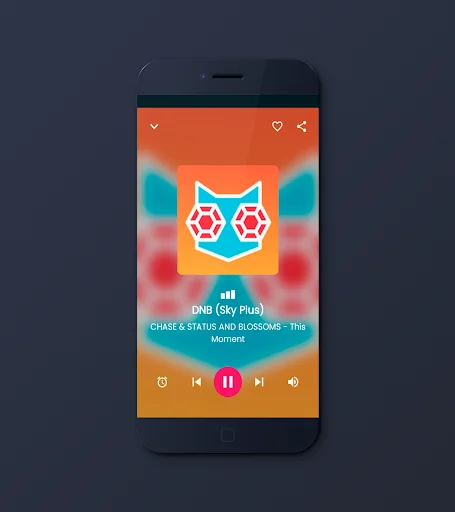 DnB Radio screenshot 1