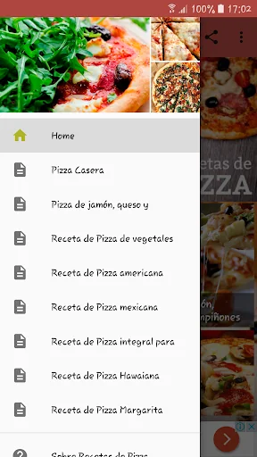 Recetas Variadas de Pizza