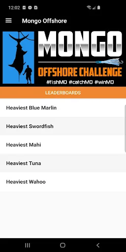Mongo Offshore Challenge
