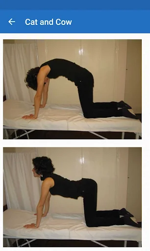 Exercises for lower back pain