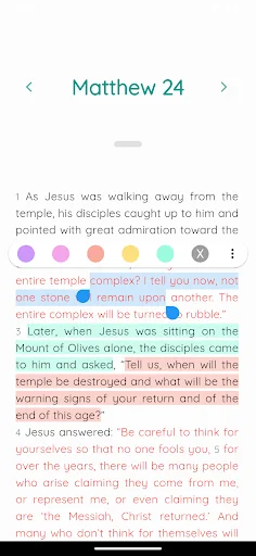 The Remedy Bible