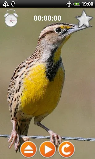 Birds Calls Sounds screenshot 1