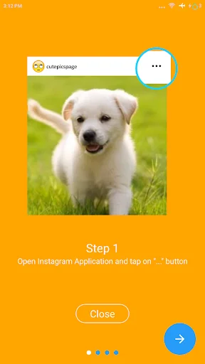 Reposta Reposter for Instagram screenshot 2
