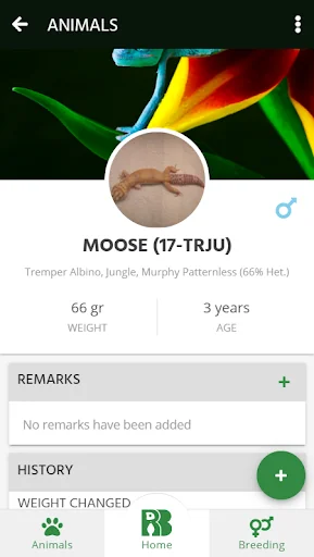 Reptile Buddy screenshot 4