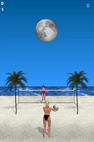 Beach Volleyball Lite