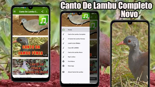 Canto De Lambu Completo