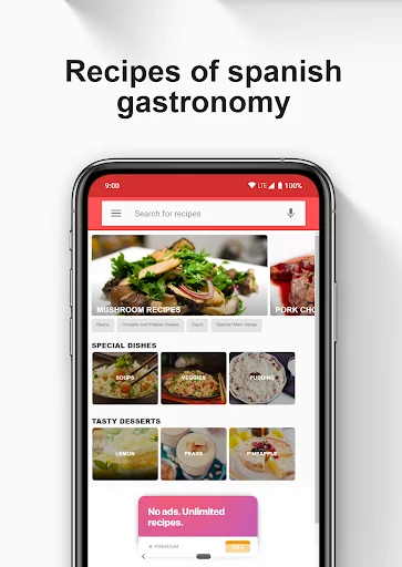 Spanish Recipes screenshot 2